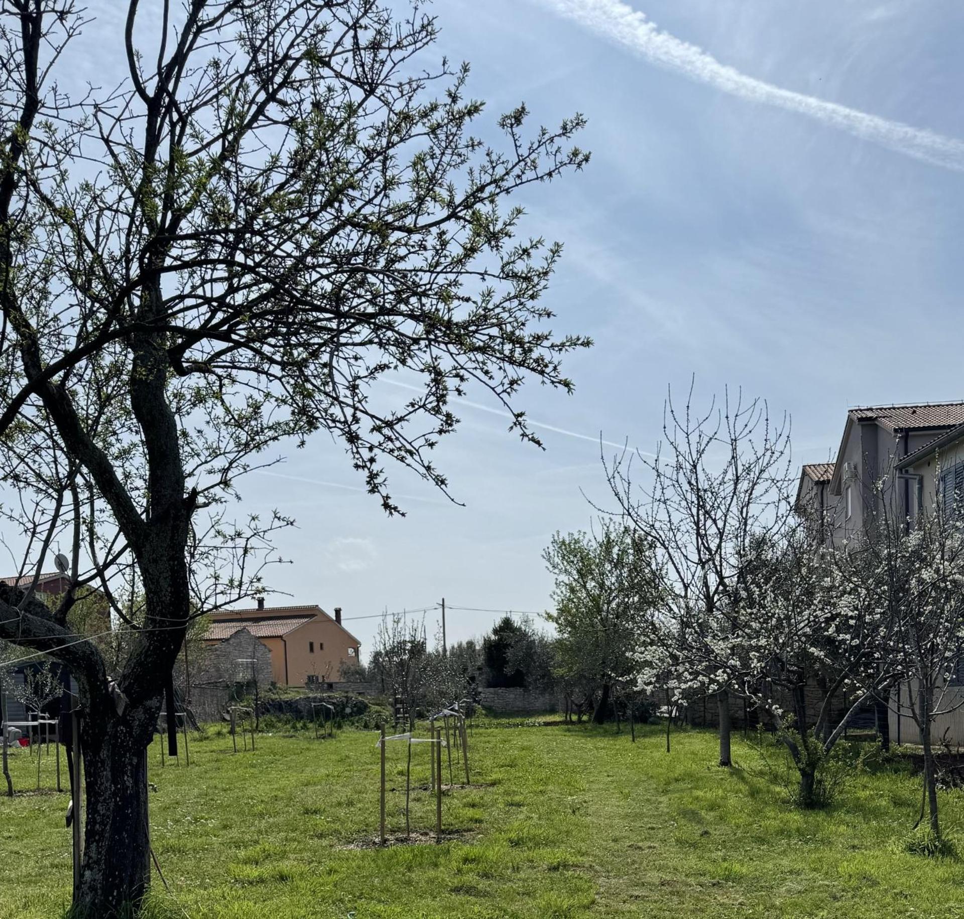 Apartments Milan ペロイ エクステリア 写真
